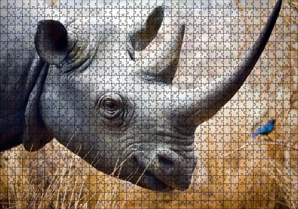 Gergedan Başı Yakın Çekim Puzzle Yapboz MDF Ahşap 1000 Parça 49 cm X 68 cm
