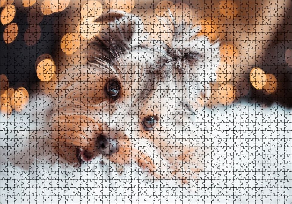 Sevimli Yorkshire Terrier Puzzle Yapboz MDF Ahşap 1000 Parça 49 cm X 68 cm