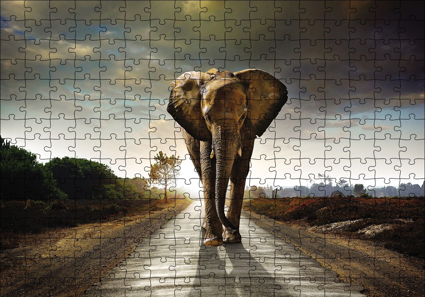 Yoldaki Fil Puzzle Yapboz MDF Ahşap 255 Parça 34 cm X 49 cm