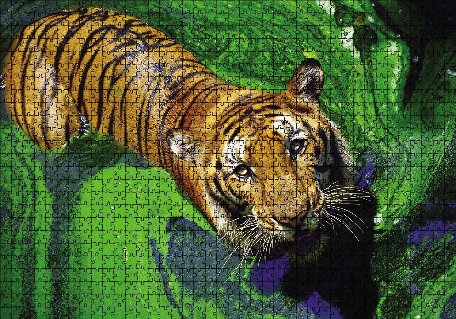 Yosunlu Suda Kaplan Puzzle Yapboz MDF Ahşap 1000 Parça 49 cm X 68 cm