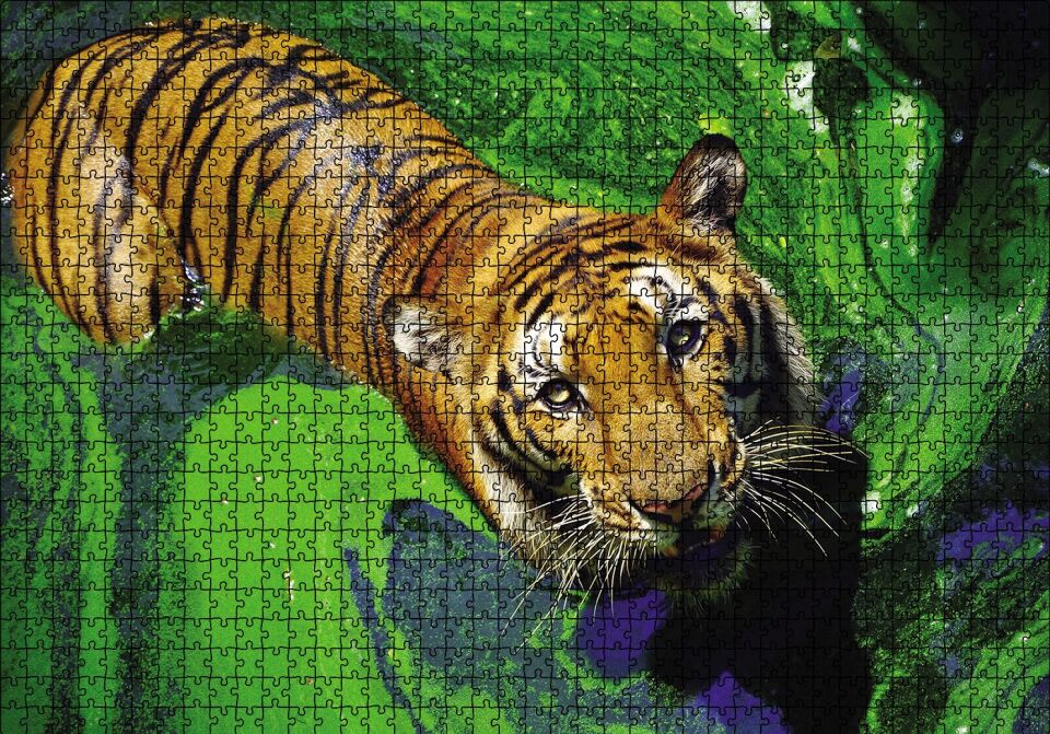 Yosunlu Suda Kaplan Puzzle Yapboz MDF Ahşap 1000 Parça 49 cm X 68 cm