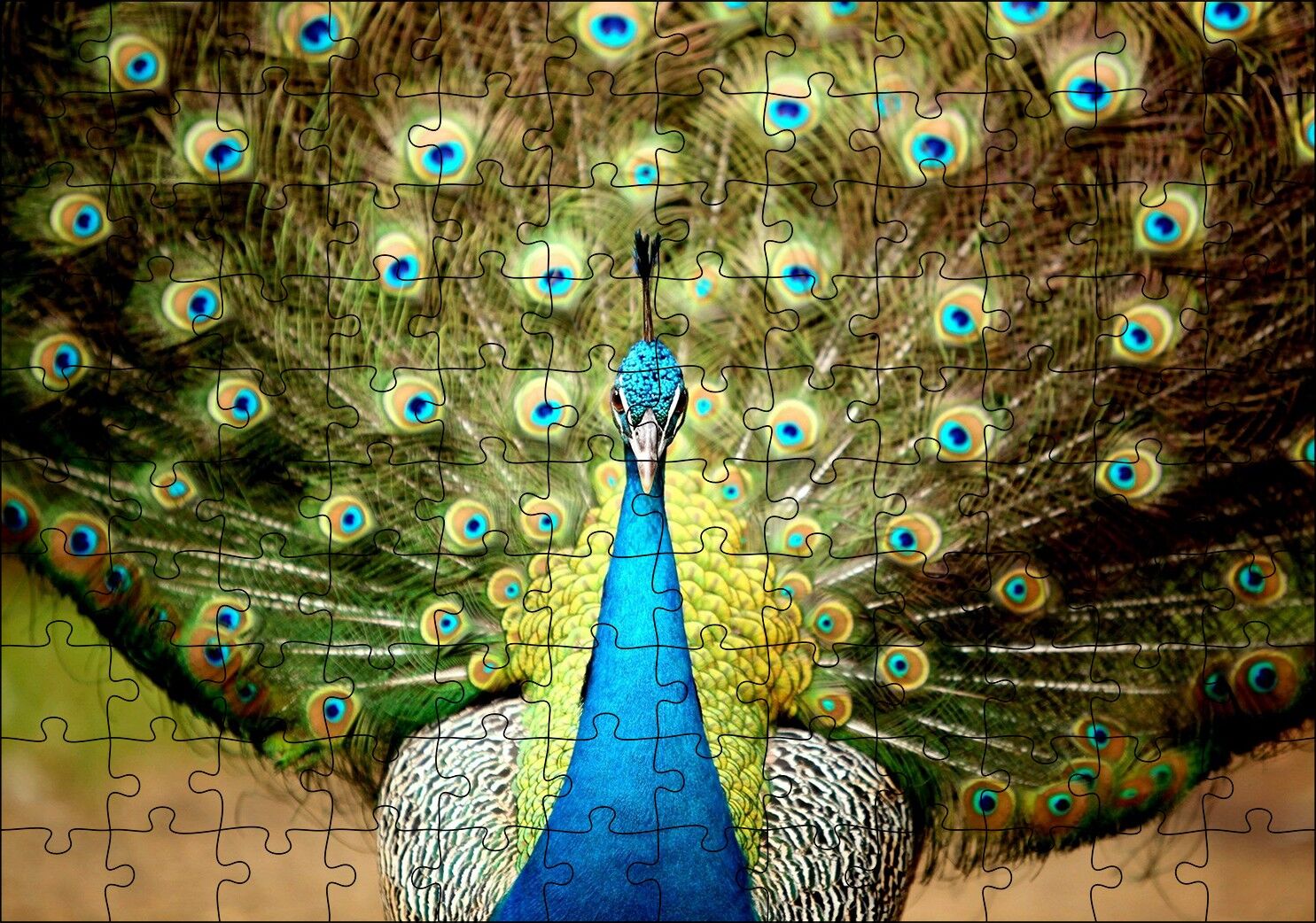 Tavus Kuşu Mavili Yeşilli Puzzle Yapboz MDF Ahşap 120 Parça 24 cm X 34 cm