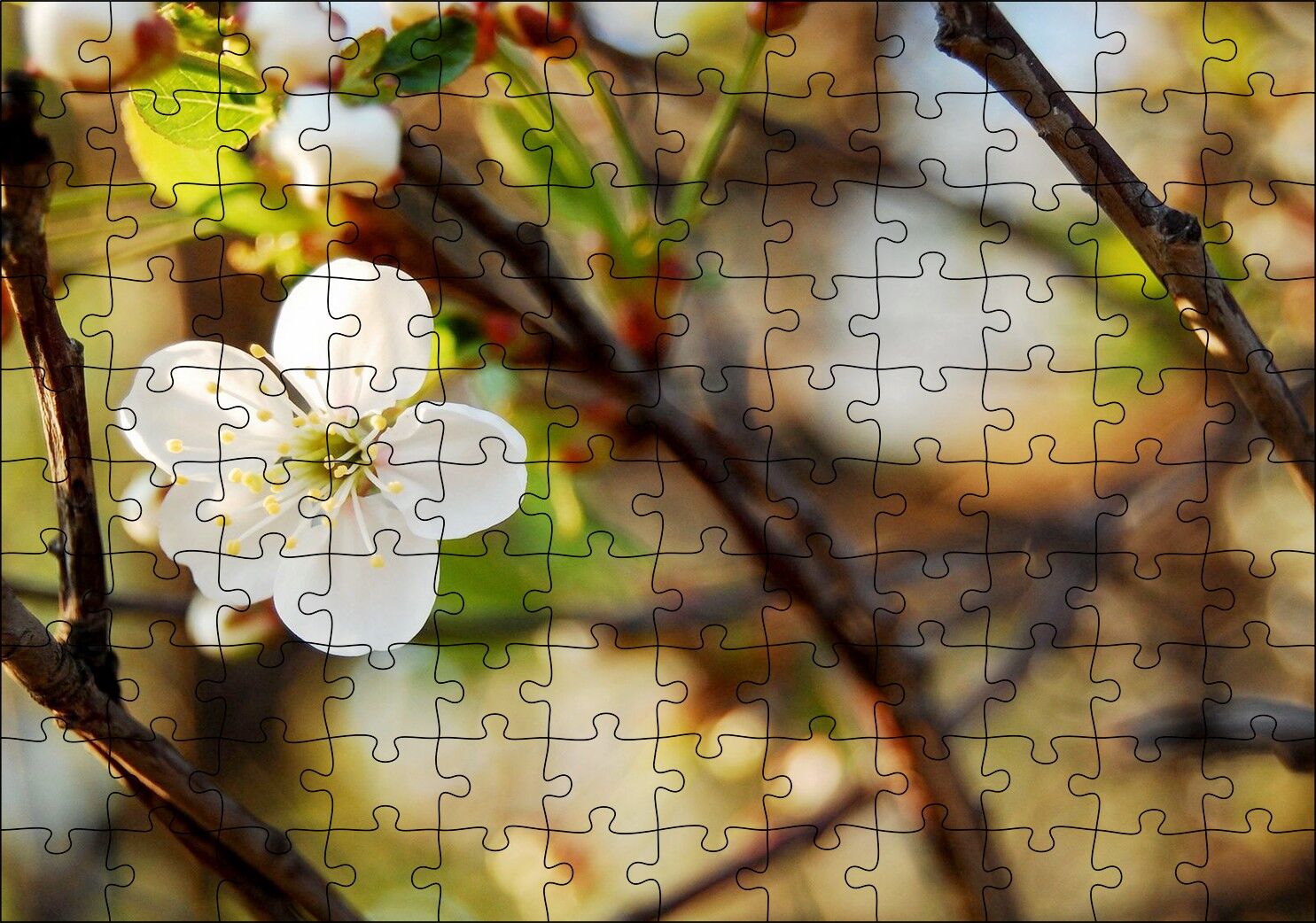 Beyaz Çiçek Arkaplanda Dallar ve Flu Yapraklar Puzzle Yapboz MDF Ahşap 120 Parça 24 cm X 34 cm