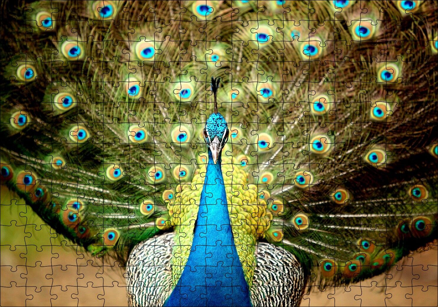 Tavus Kuşu Mavili Yeşilli Puzzle Yapboz MDF Ahşap 255 Parça 34 cm X 49 cm