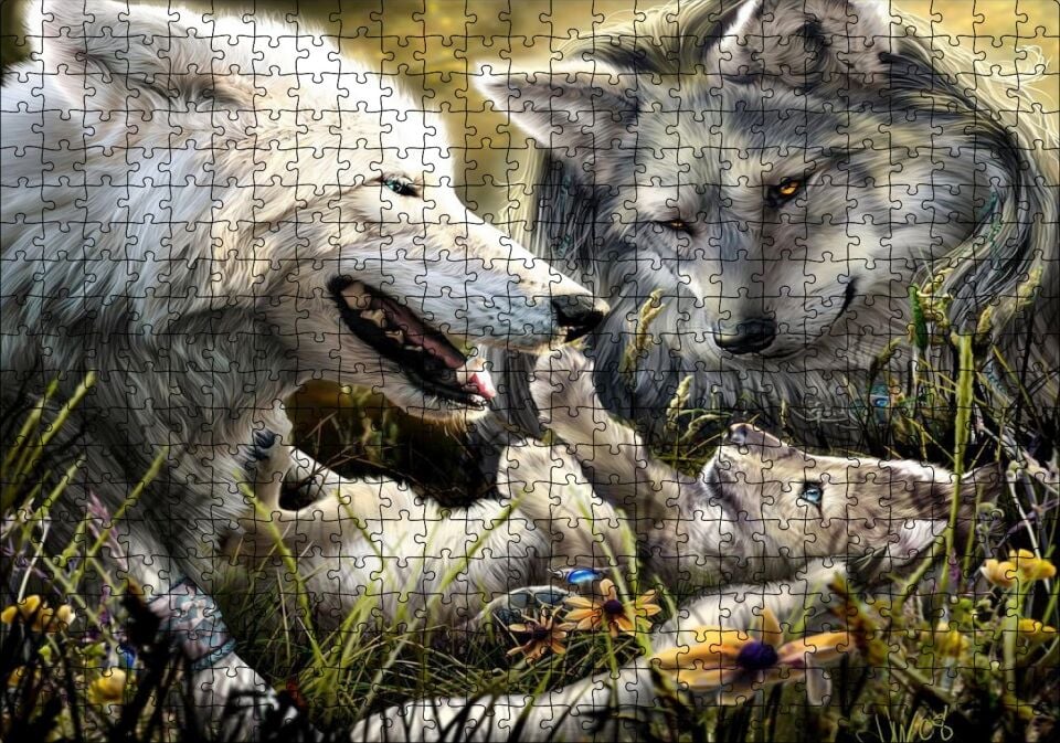 Kurt Ailesi Görseli Puzzle Yapboz MDF Ahşap 500 Parça 49 cm X 68 cm