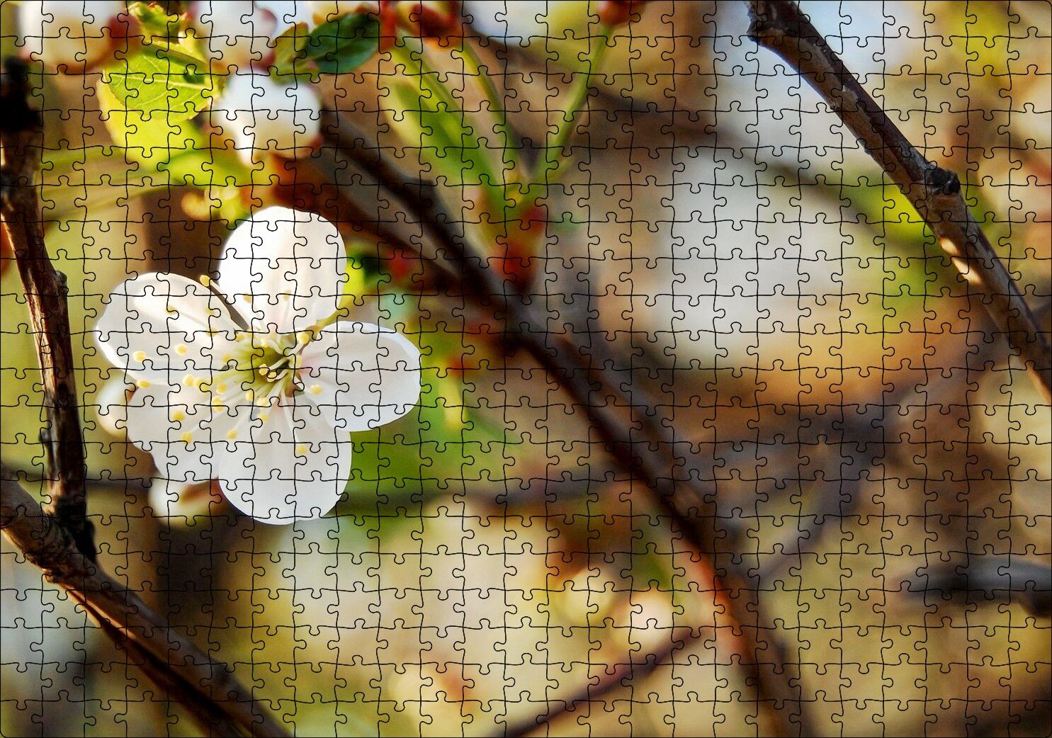 Beyaz Çiçek Arkaplanda Dallar ve Flu Yapraklar Puzzle Yapboz MDF Ahşap 500 Parça 49 cm X 68 cm