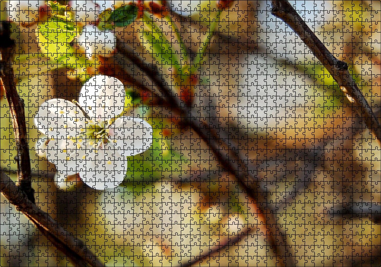 Beyaz Çiçek Arkaplanda Dallar ve Flu Yapraklar Puzzle Yapboz MDF Ahşap 1000 Parça 49 cm X 68 cm
