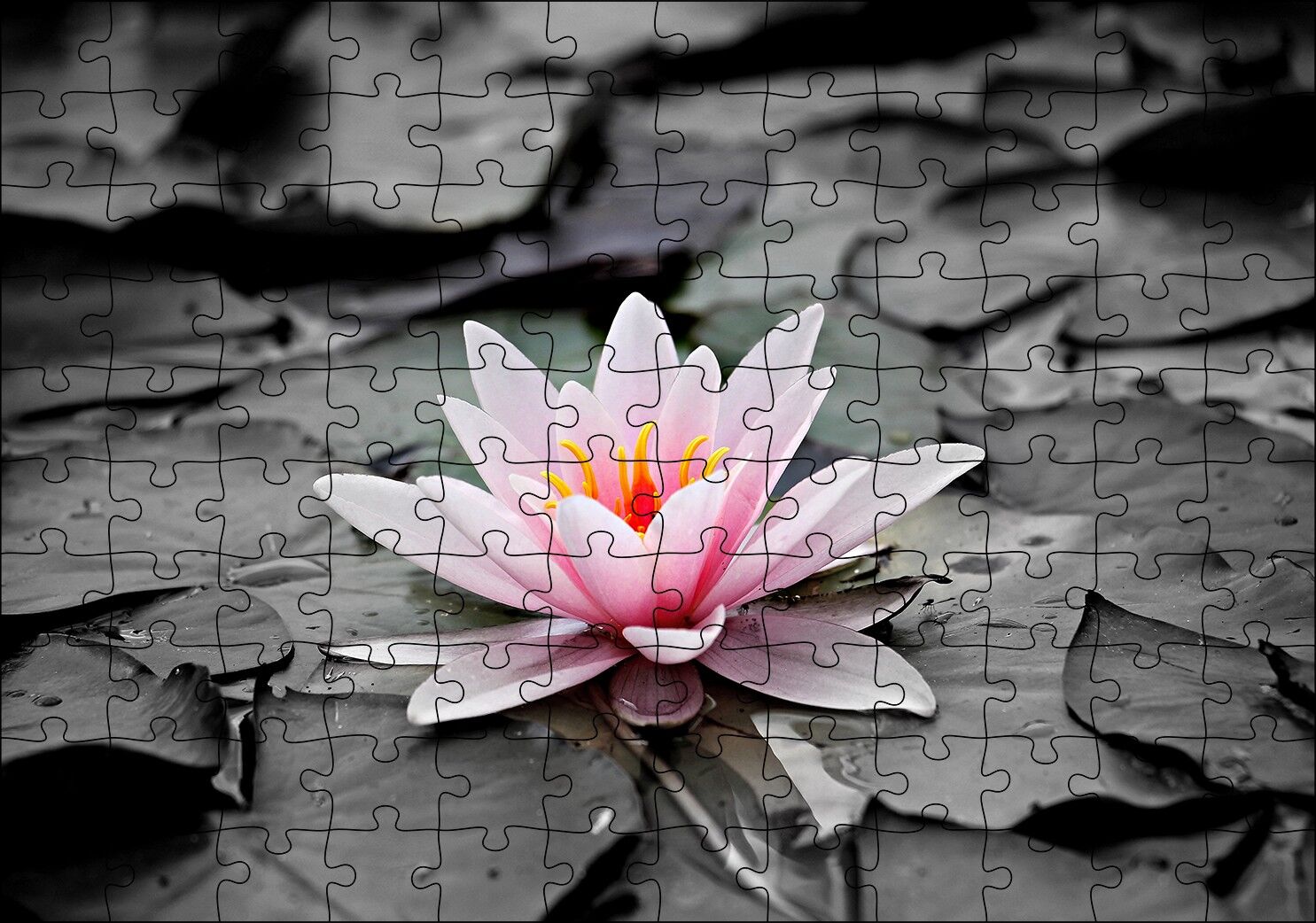 Siyah Beyaz Lotus Yaprakları ve Pembe Nilüfer Çiçeği Puzzle Yapboz MDF Ahşap 120 Parça 24 cm X 34 cm