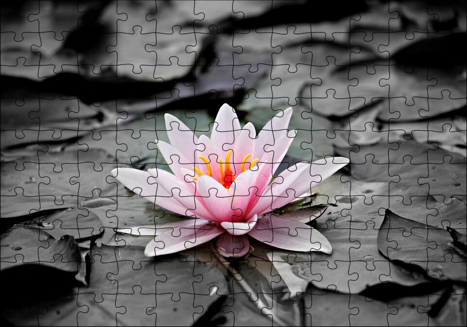Siyah Beyaz Lotus Yaprakları ve Pembe Nilüfer Çiçeği Puzzle Yapboz MDF Ahşap 120 Parça 24 cm X 34 cm