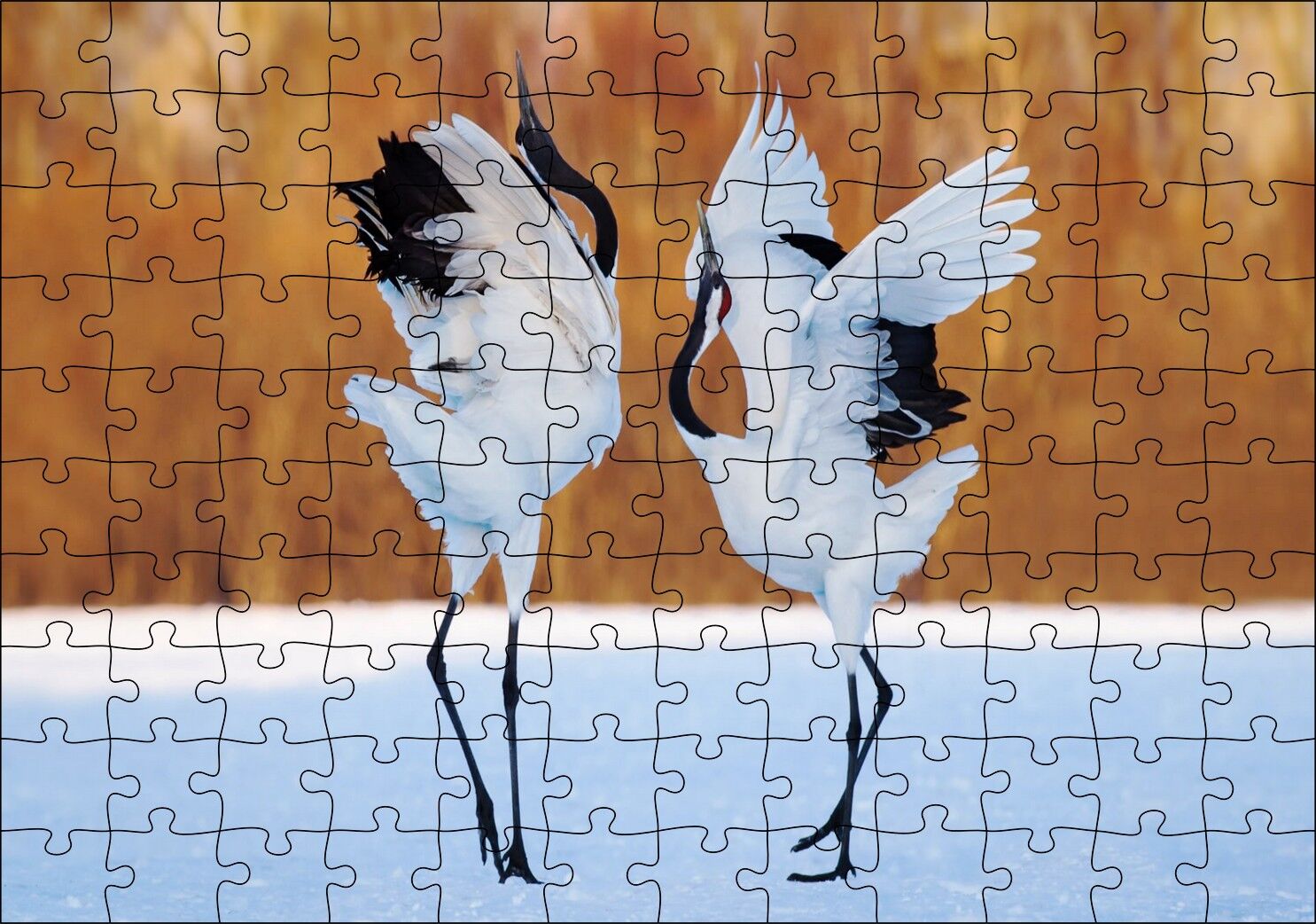 Japon Turna Dansı Görseli Puzzle Yapboz MDF Ahşap