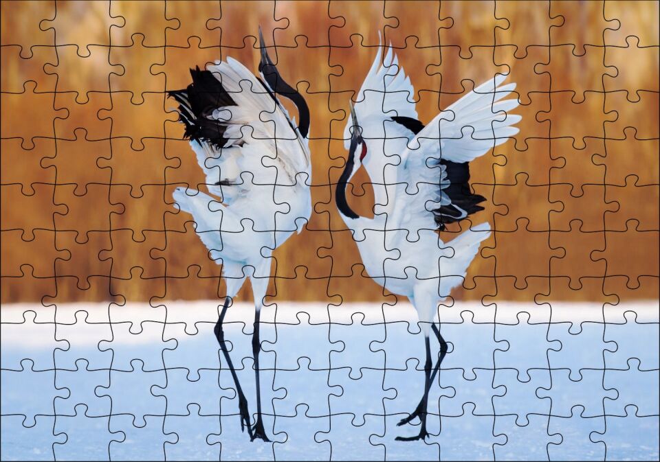 Japon Turna Dansı Görseli Puzzle Yapboz MDF Ahşap