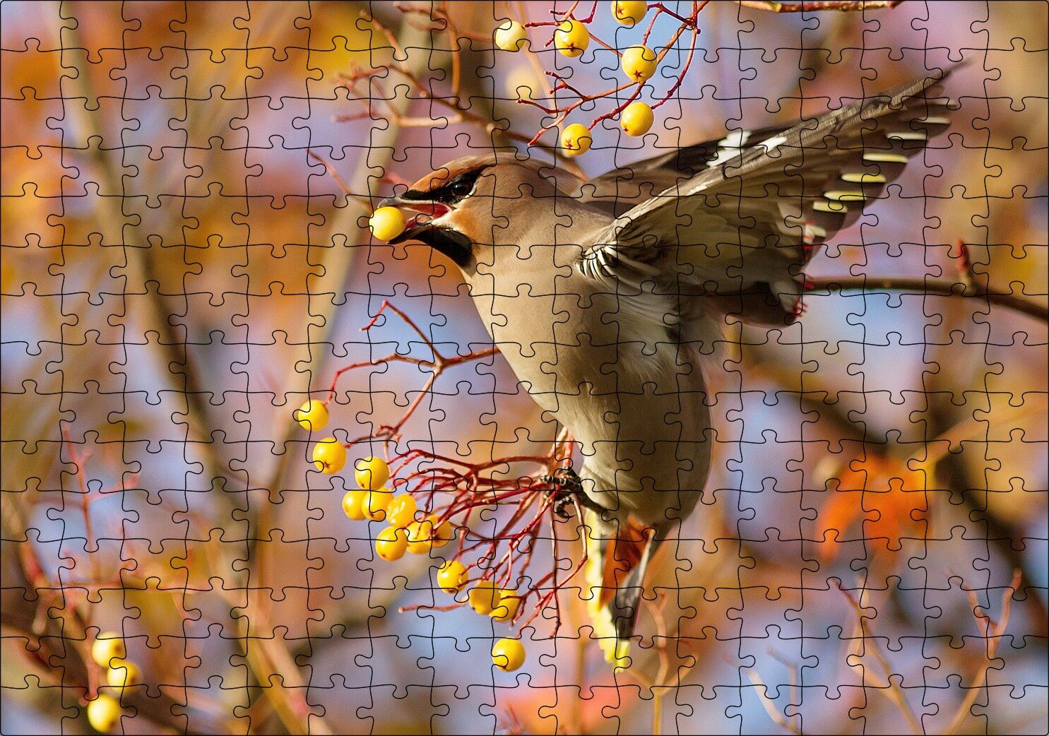 Sarı Meyveli Ağaç ve Sevimli Kuş Puzzle Yapboz MDF Ahşap 255 Parça 34 cm X 49 cm