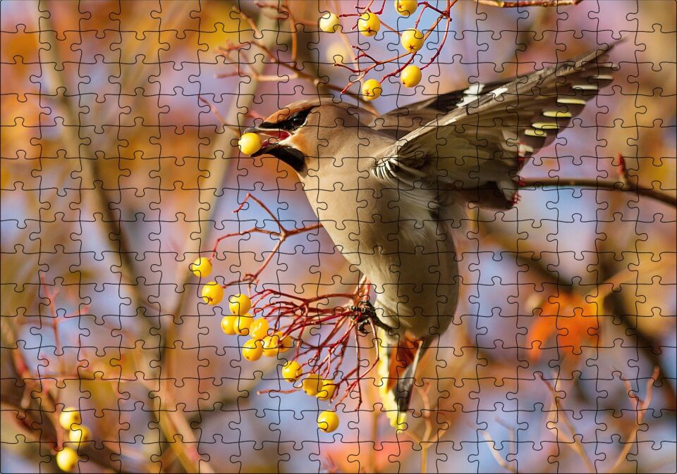 Sarı Meyveli Ağaç ve Sevimli Kuş Puzzle Yapboz MDF Ahşap 255 Parça 34 cm X 49 cm