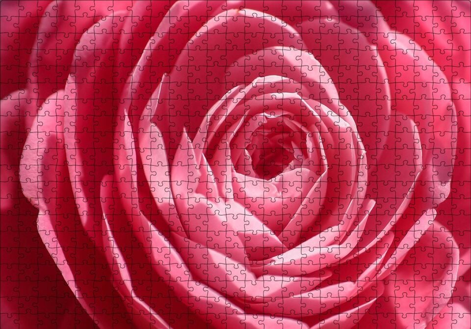 Pembe Gül Makro Puzzle Yapboz MDF Ahşap 500 Parça 49 cm X 68 cm