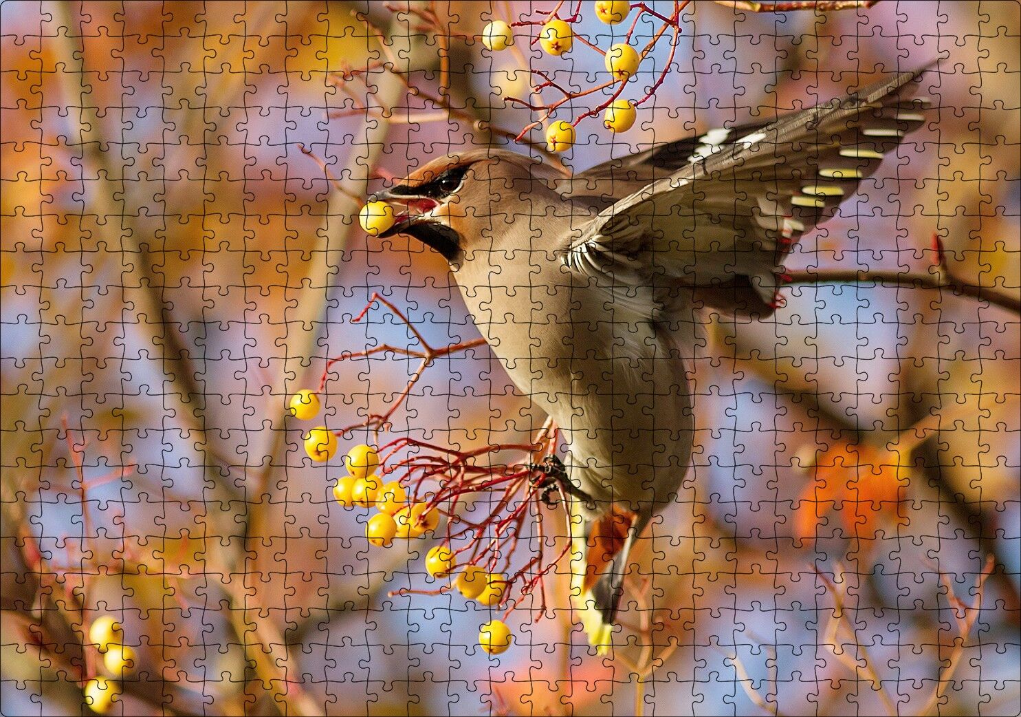 Sarı Meyveli Ağaç ve Sevimli Kuş Puzzle Yapboz MDF Ahşap 500 Parça 49 cm X 68 cm