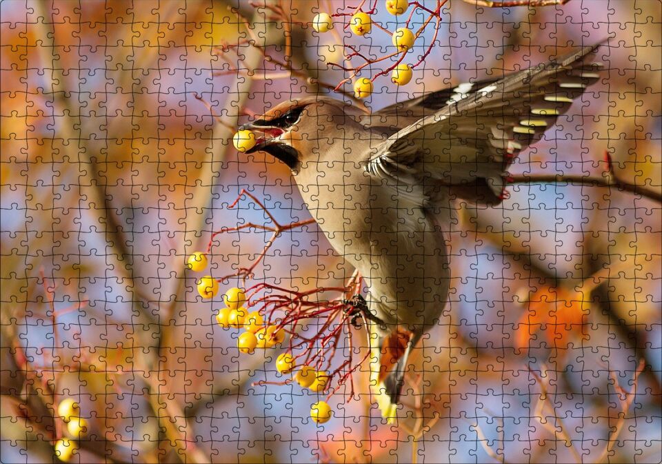 Sarı Meyveli Ağaç ve Sevimli Kuş Puzzle Yapboz MDF Ahşap 500 Parça 49 cm X 68 cm