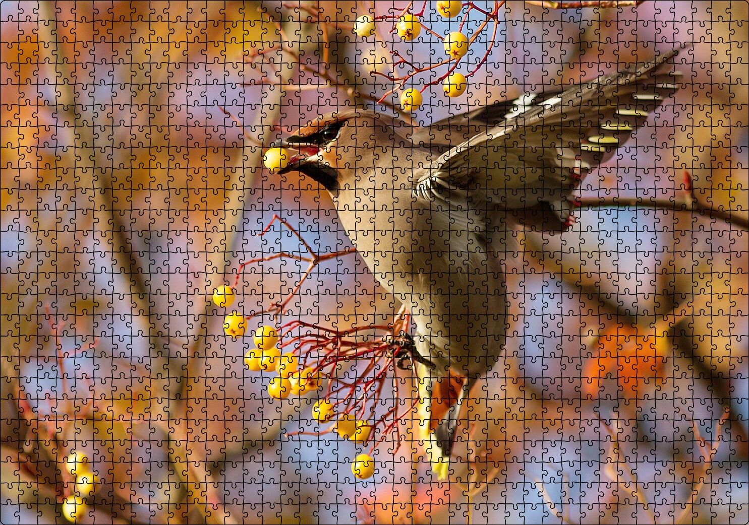 Sarı Meyveli Ağaç ve Sevimli Kuş Puzzle Yapboz MDF Ahşap 1000 Parça 49 cm X 68 cm