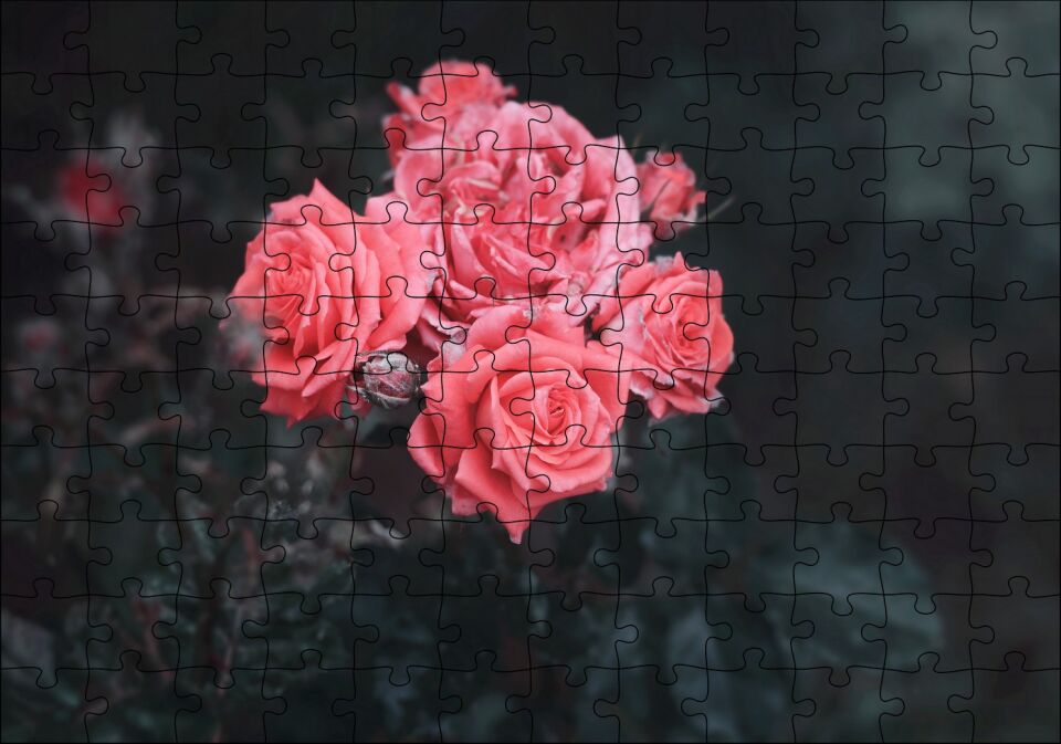Bir Arada Pembe Güller Puzzle Yapboz MDF Ahşap 120 Parça 24 cm X 34 cm