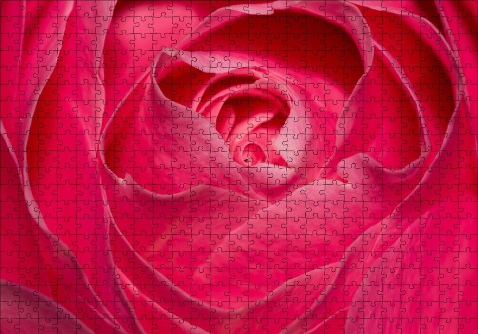 Pembe Gül Yakın Çekim Puzzle Yapboz MDF Ahşap 500 Parça 49 cm X 68 cm