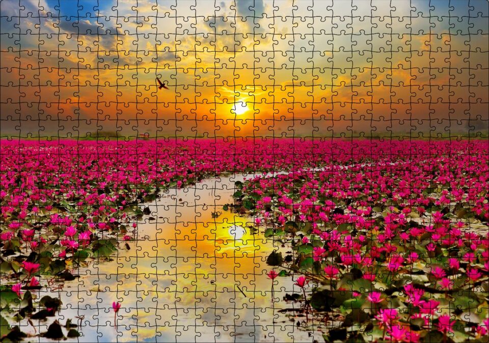 Günbatımında Gölde Pembe Çiçekler Puzzle Yapboz MDF Ahşap 500 Parça 49 cm X 68 cm