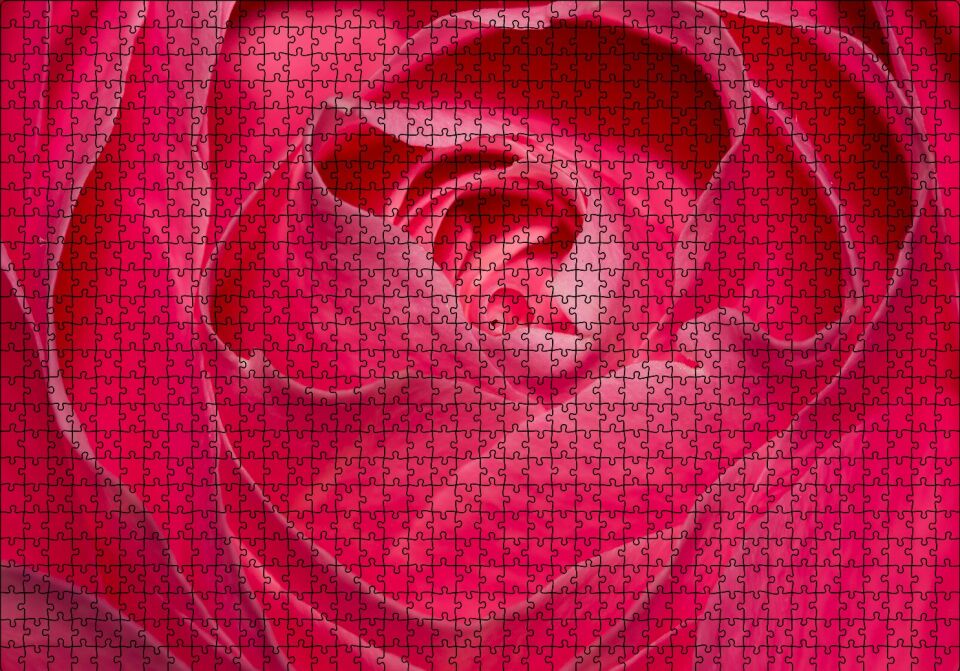 Pembe Gül Yakın Çekim Puzzle Yapboz MDF Ahşap 1000 Parça 49 cm X 68 cm
