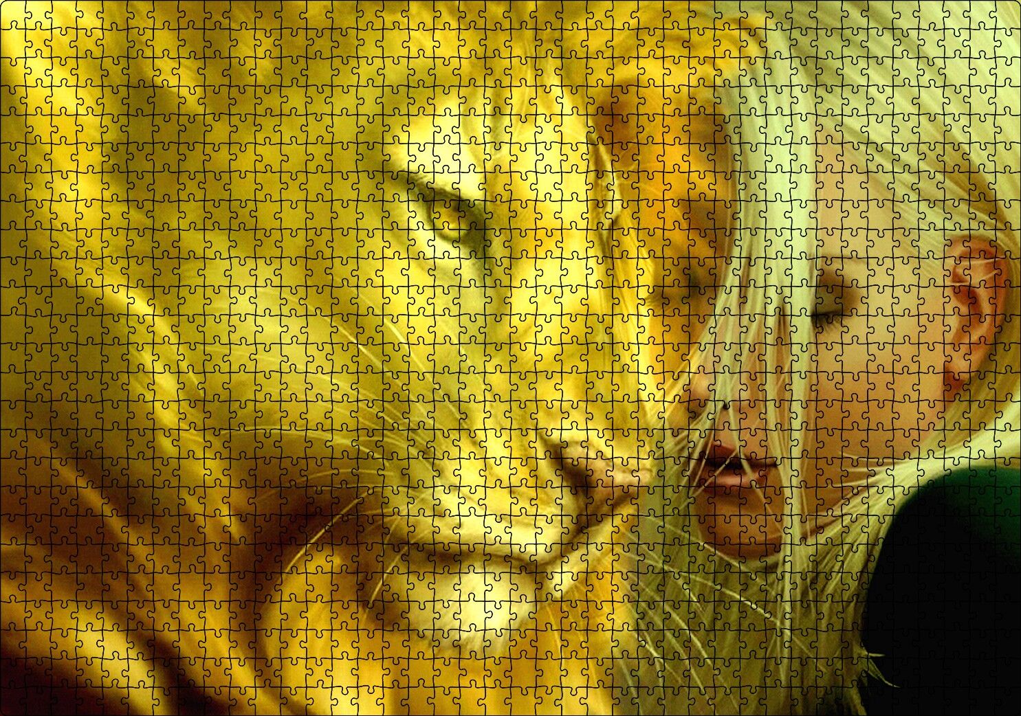 Sarı Saçlı Kız ve Aslan Puzzle Yapboz MDF Ahşap 1000 Parça 49 cm X 68 cm