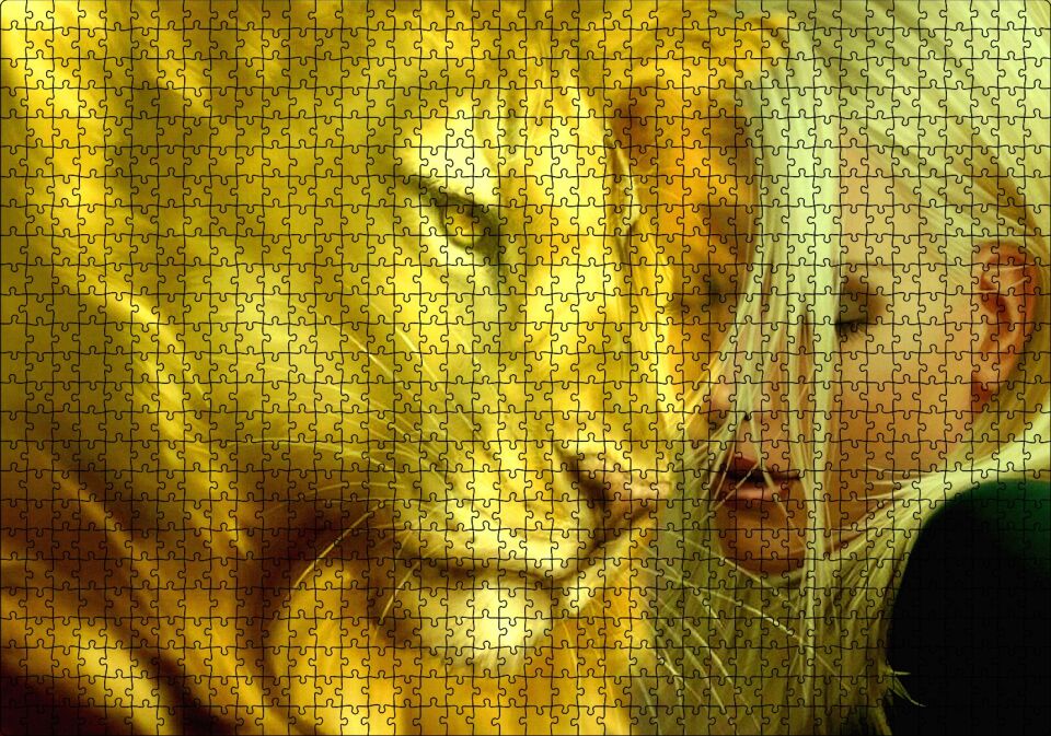 Sarı Saçlı Kız ve Aslan Puzzle Yapboz MDF Ahşap 1000 Parça 49 cm X 68 cm