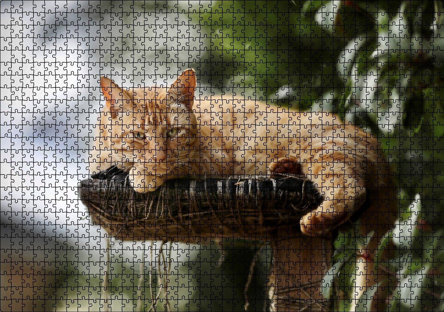 Kütüğün Üzerinde Miskinlik Eden Sarı Kedi Puzzle Yapboz MDF Ahşap 1000 Parça 49 cm X 68 cm
