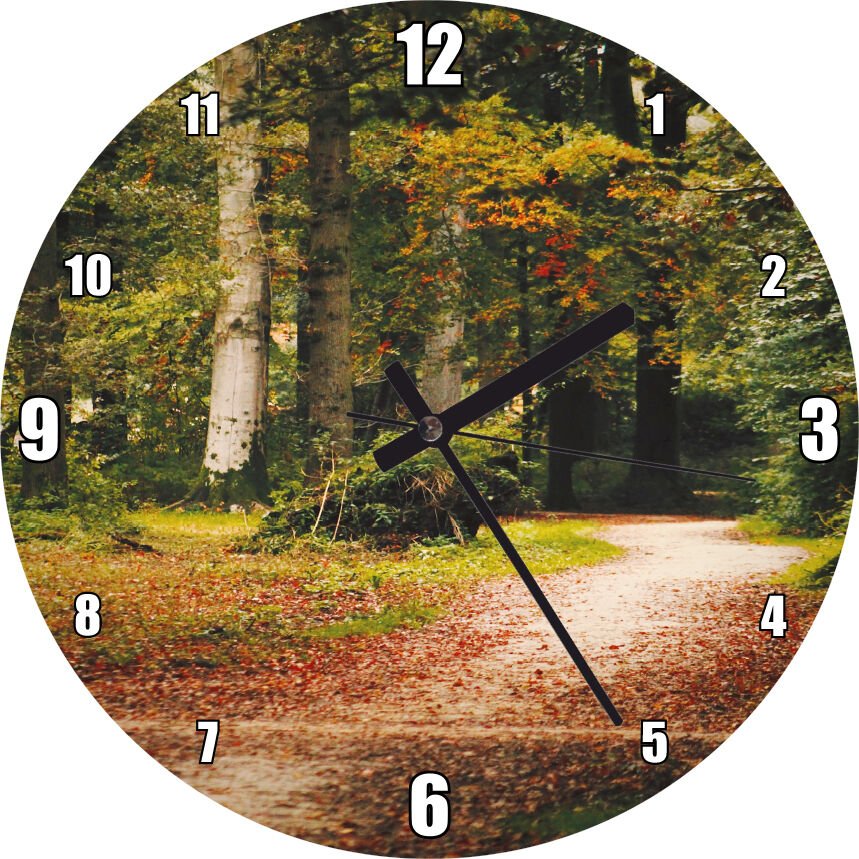 Orman İçinde Yürüme Yolu  Mdf Ahşap Duvar Saati