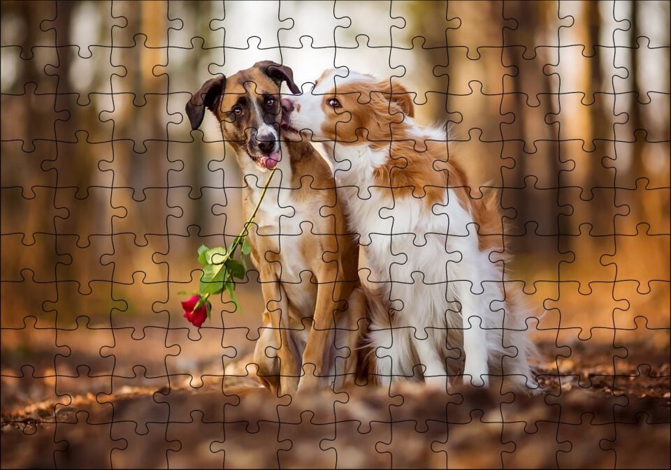 Kahverengi Beyaz Aşık Köpekler Puzzle Yapboz MDF Ahşap