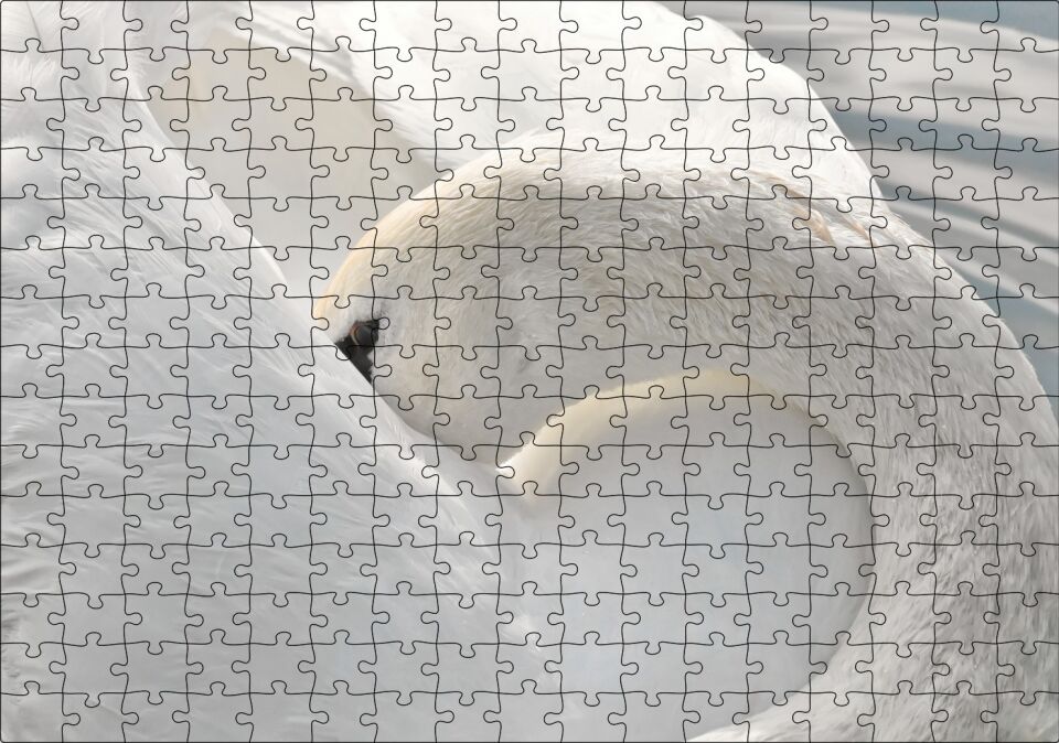 Tüylerini Temizleyen Zarif Beyaz Kuğu Puzzle Yapboz MDF Ahşap 255 Parça 34 cm X 49 cm