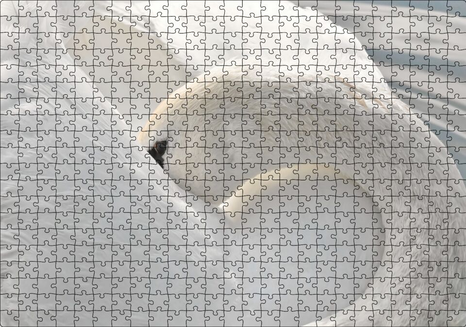 Tüylerini Temizleyen Zarif Beyaz Kuğu Puzzle Yapboz MDF Ahşap 500 Parça 49 cm X 68 cm