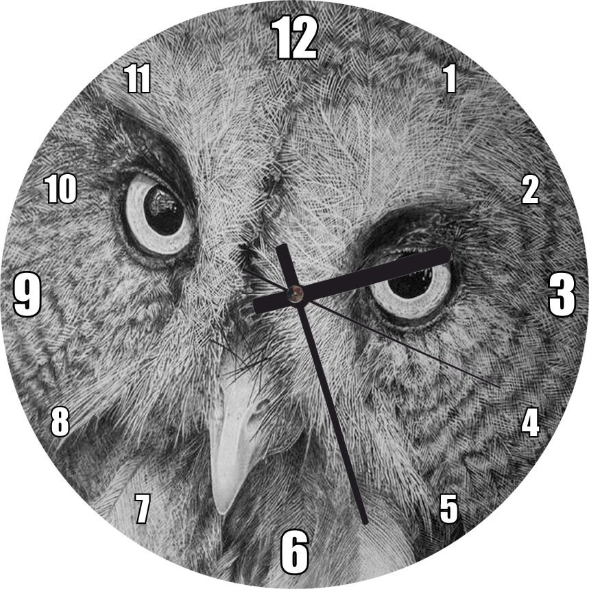 Gri Baykuş Yüz Yakın Çekim Görseli Mdf Ahşap Duvar Saati