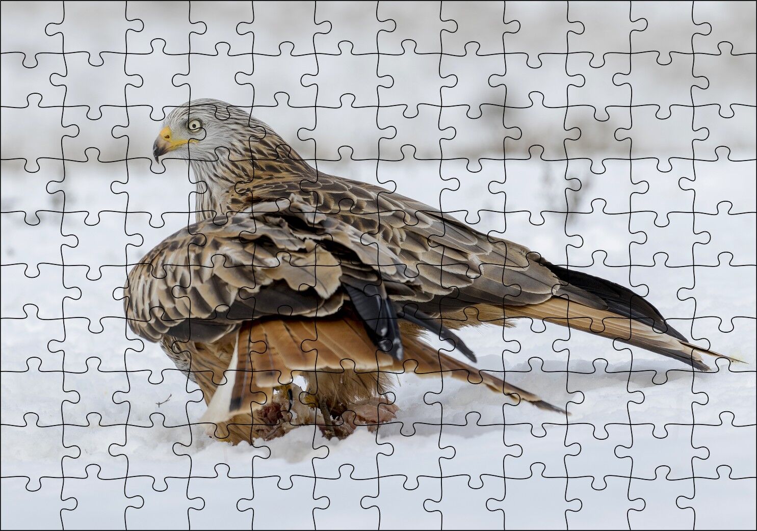 Karlar Üzerindeki Kartal ve Pençelerindeki Avı Puzzle Yapboz MDF Ahşap