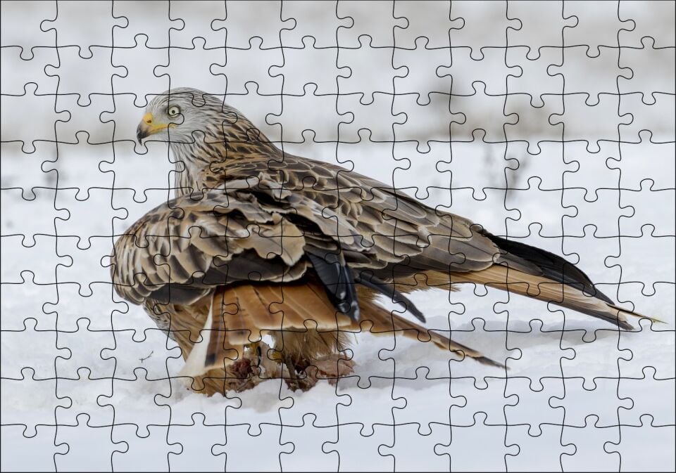 Karlar Üzerindeki Kartal ve Pençelerindeki Avı Puzzle Yapboz MDF Ahşap