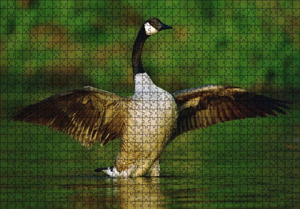 Gölde Kanatlarını Açmış Kaz Puzzle Yapboz MDF Ahşap 1000 Parça 49 cm X 68 cm