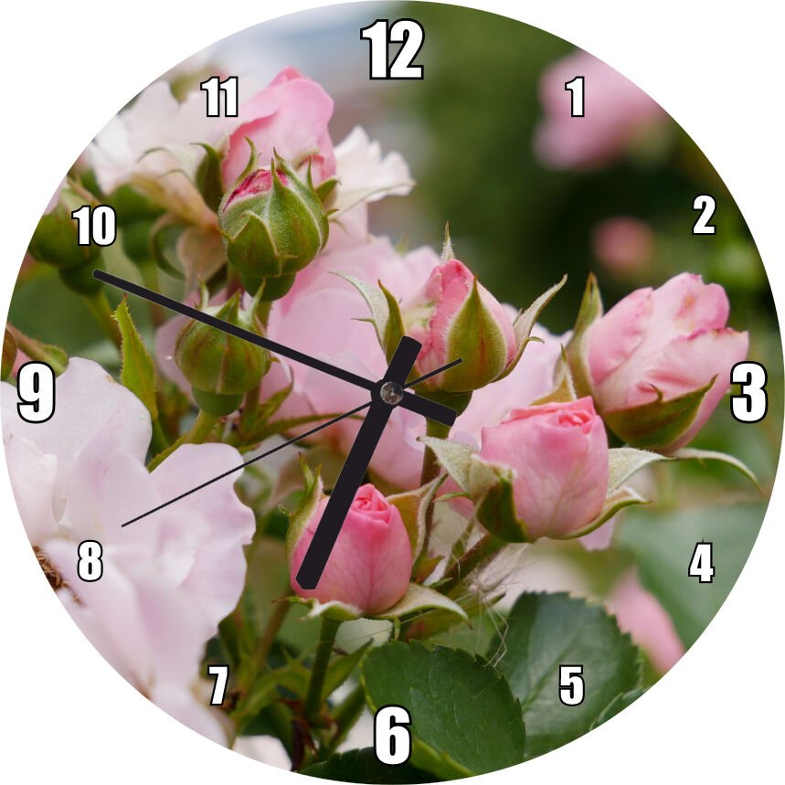 Beyaz ve Pembe Gonca Güller ve Yapraklar Mdf Ahşap Duvar Saati 50 cm Çap