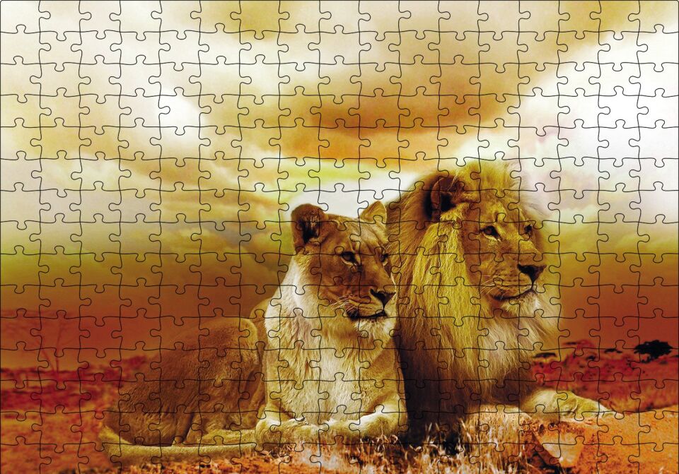 Hayat Arkadaşları Puzzle Yapboz MDF Ahşap 255 Parça 34 cm X 49 cm