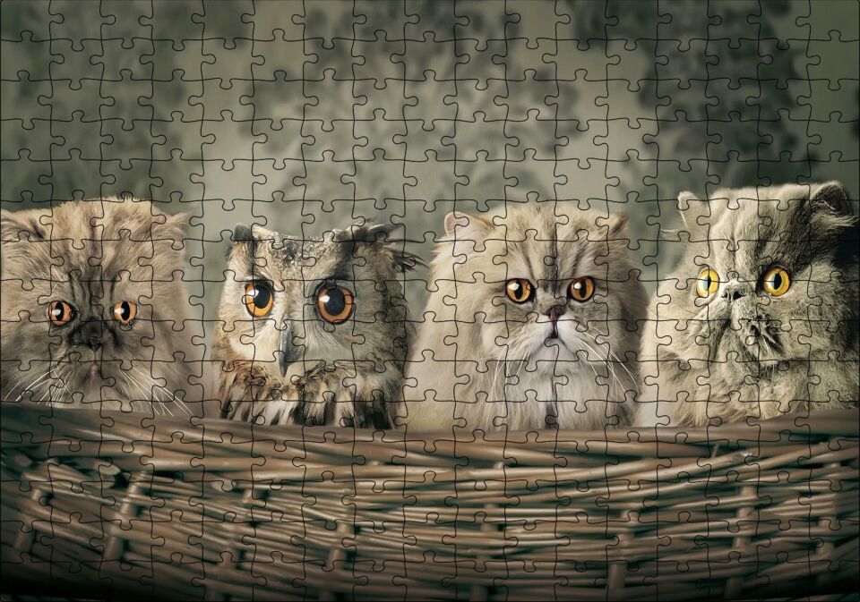 Sepetin İçinde Üç Kedi ve Bir Baykuş Puzzle Yapboz MDF Ahşap 255 Parça 34 cm X 49 cm