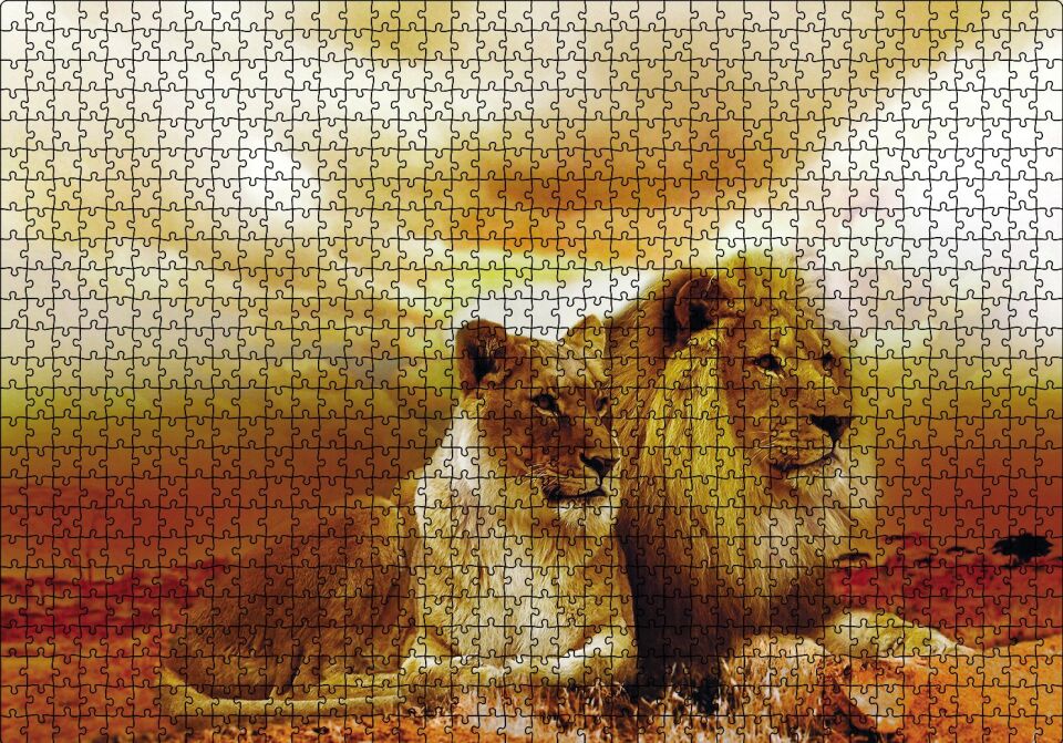 Hayat Arkadaşları Puzzle Yapboz MDF Ahşap 1000 Parça 49 cm X 68 cm