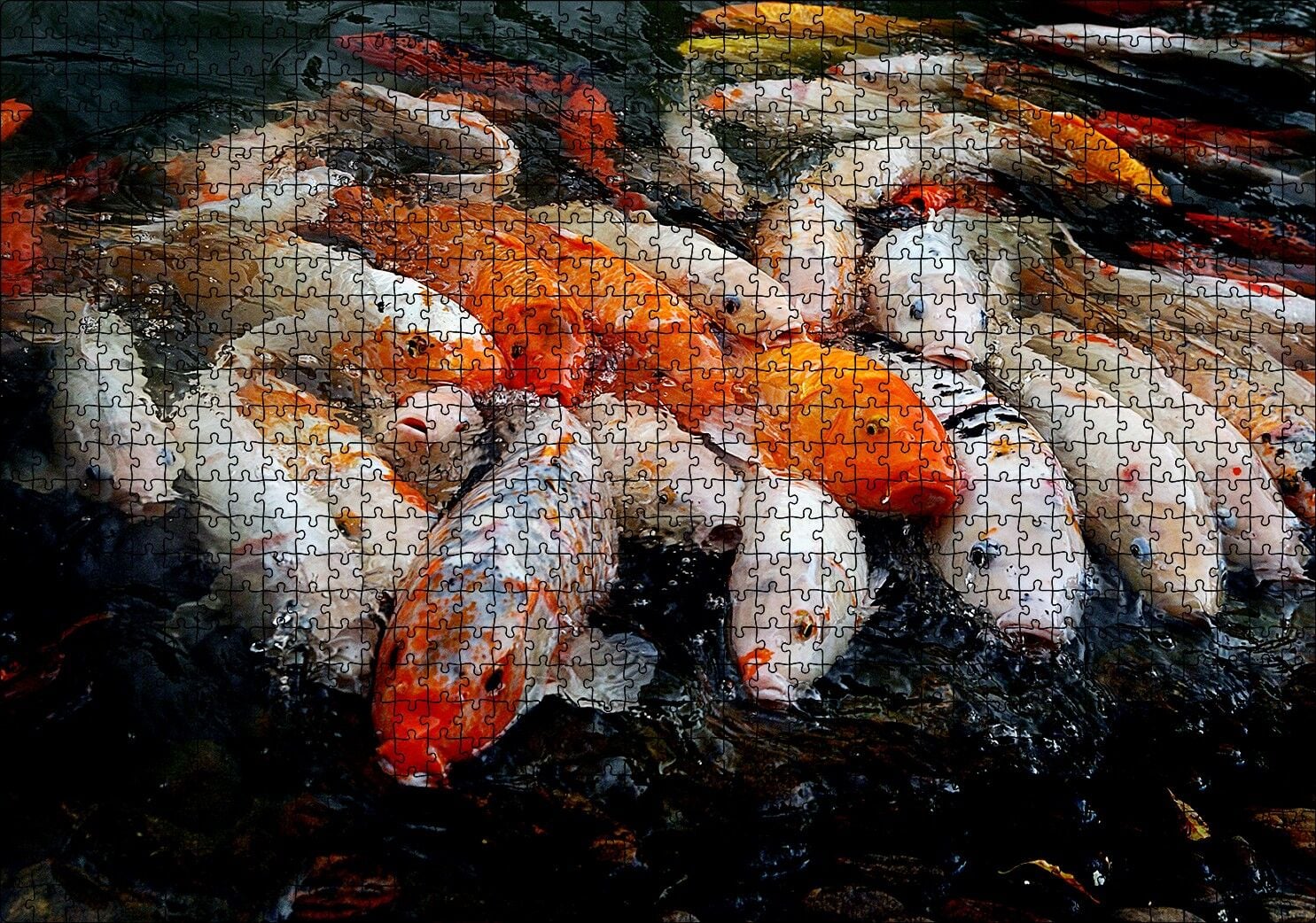 Su Üzerine Çıkmış Koi Balıkları Yağlı Boya Çizim Puzzle Yapboz MDF Ahşap 1000 Parça 49 cm X 68 cm