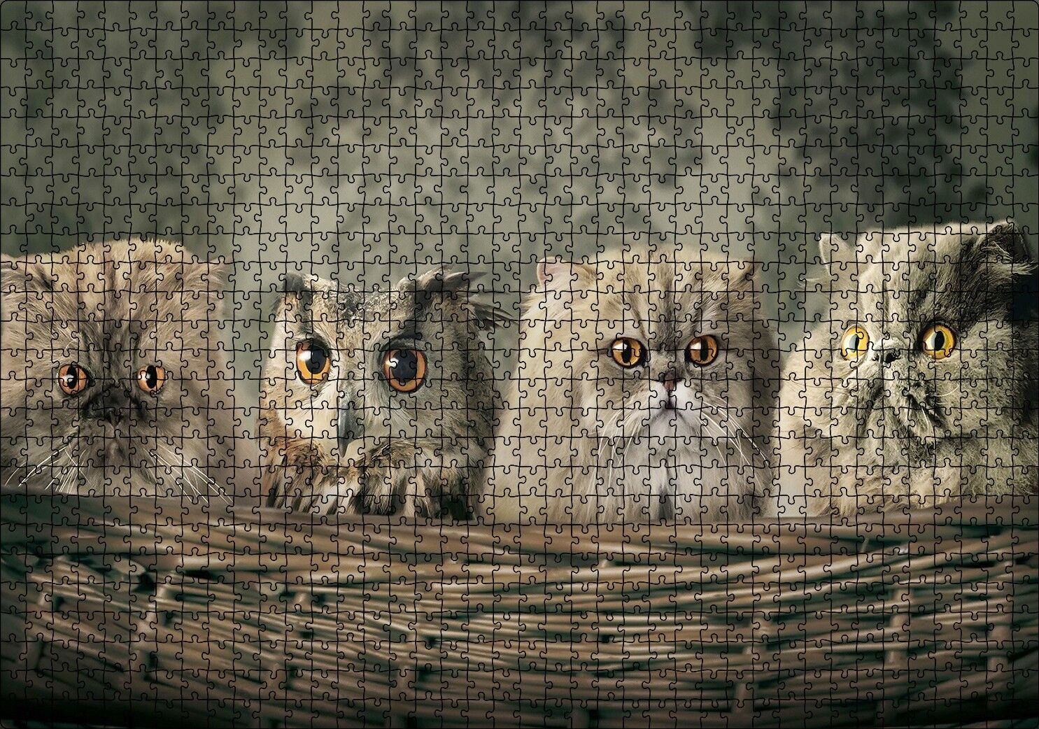 Sepetin İçinde Üç Kedi ve Bir Baykuş Puzzle Yapboz MDF Ahşap 1000 Parça 49 cm X 68 cm