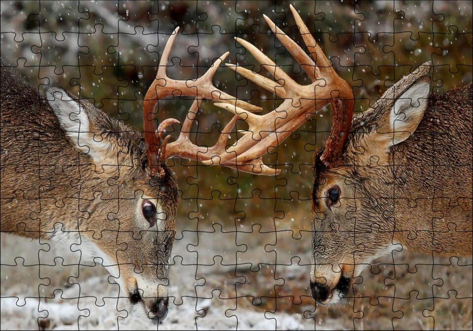 Hakimiyet Mücadelesindeki Geyikler Puzzle Yapboz MDF Ahşap 120 Parça 24 cm X 34 cm