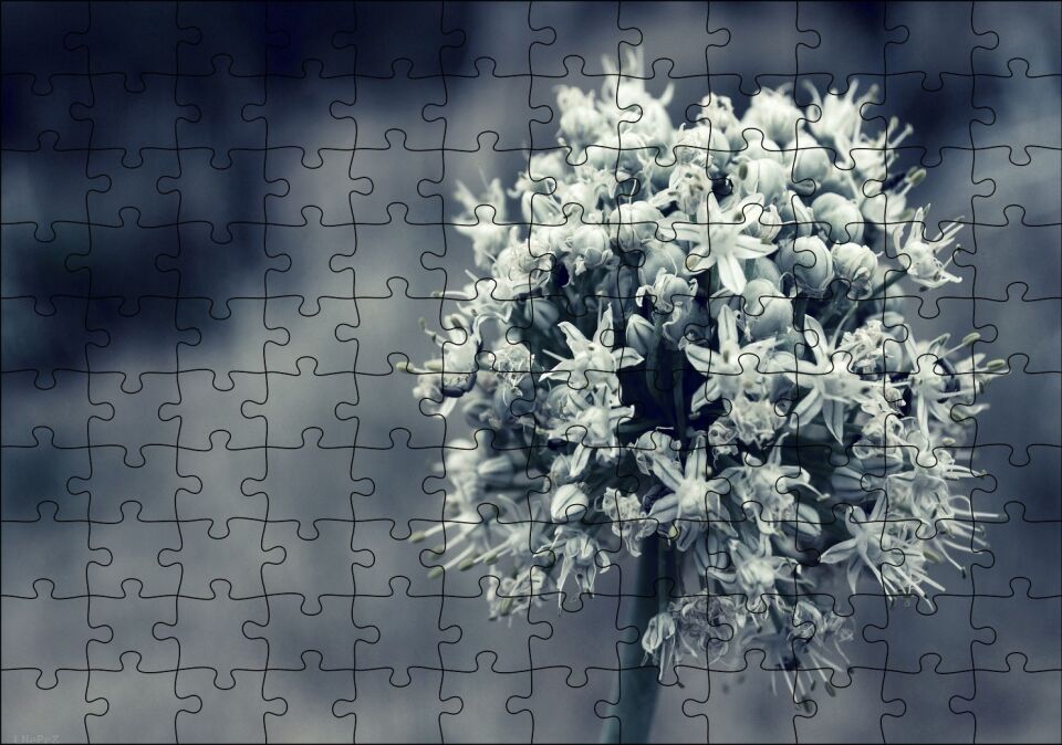 Dal ve Tomurcuk Şeklinde Çiçek Siyah Beyaz Puzzle Yapboz MDF Ahşap 120 Parça 24 cm X 34 cm