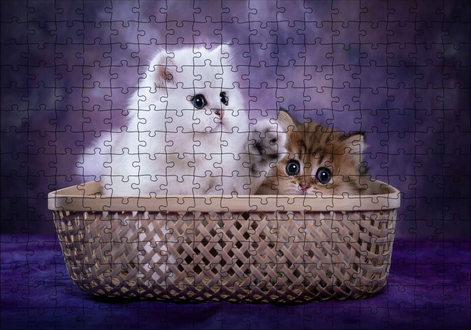 Sepette Beyaz ve Tekir Sevimli Kediler Puzzle Yapboz MDF Ahşap 255 Parça 34 cm X 49 cm