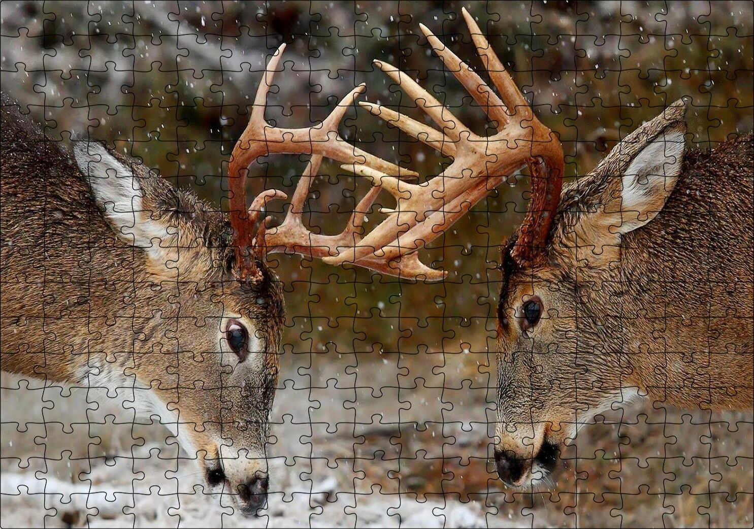 Hakimiyet Mücadelesindeki Geyikler Puzzle Yapboz MDF Ahşap 255 Parça 34 cm X 49 cm