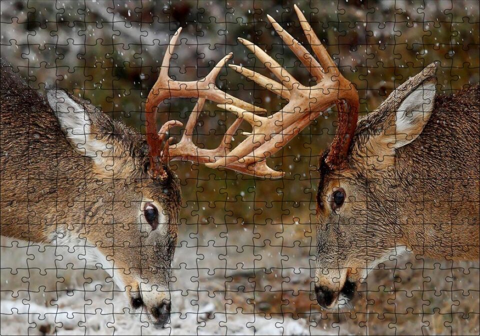 Hakimiyet Mücadelesindeki Geyikler Puzzle Yapboz MDF Ahşap 255 Parça 34 cm X 49 cm
