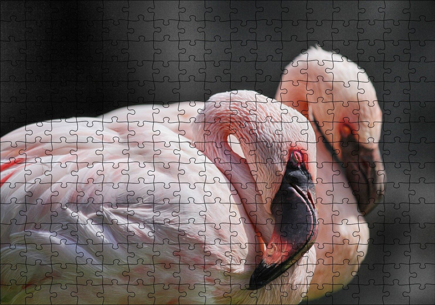 Uyuklayan Bir Çift Flamingo Puzzle Yapboz MDF Ahşap 255 Parça 34 cm X 49 cm