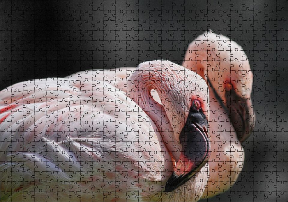 Uyuklayan Bir Çift Flamingo Puzzle Yapboz MDF Ahşap 500 Parça 49 cm X 68 cm