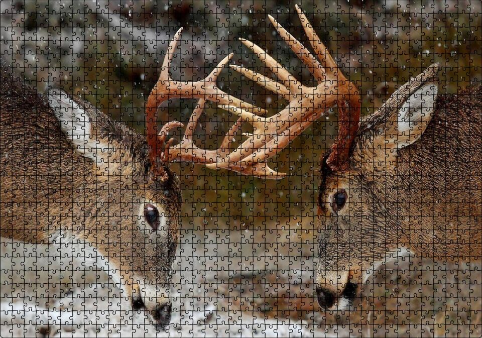 Hakimiyet Mücadelesindeki Geyikler Puzzle Yapboz MDF Ahşap 1000 Parça 49 cm X 68 cm